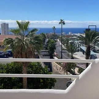 Flamingos Ocean View